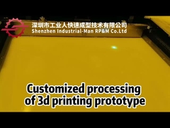 PLA Plastic 3D Printing Prototype High Precision Custom Model