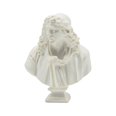 Foto-gevoelige harsen SLA SLS 3D-print beeld op maat